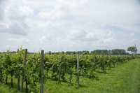 DSC02011 (1024x681).jpg